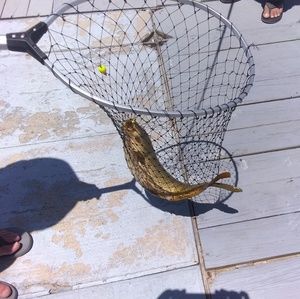 Meet your Posher, Celia